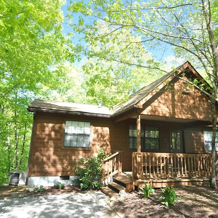 Adalynn'S Mountain Retreat-Hot Tub, 1089 Of Free Tickets For Each Paid Day, Dollywood And More! بيدجن فورج المظهر الخارجي الصورة
